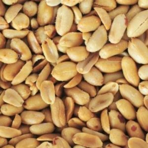 Large Roasted & Salted Blanched Peanuts